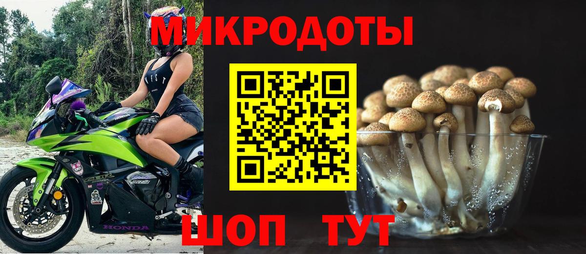 Псилоцибиновые грибы мицелий Нягань