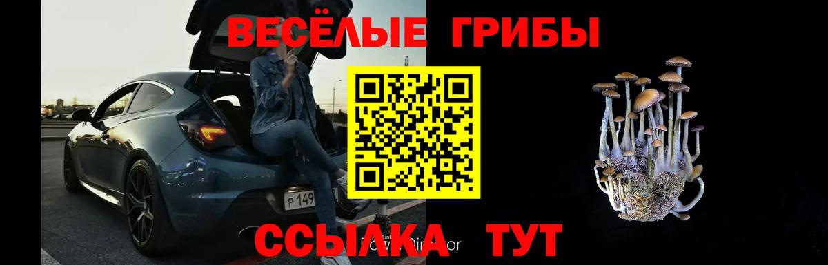 Псилоцибиновые грибы мухоморы  купить наркотик  Галлюциногенные грибы Psilocybine cubensis  Нягань  Вход с VPN 